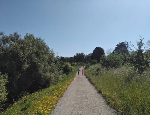 Oeiras Trail – trail running races in Lisbon